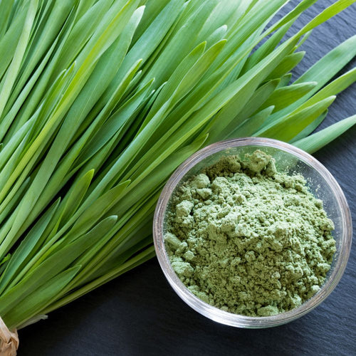 Hvedegræspulver: Få mere energi og styrk dit immunforsvar naturligt - Naturelle.dk