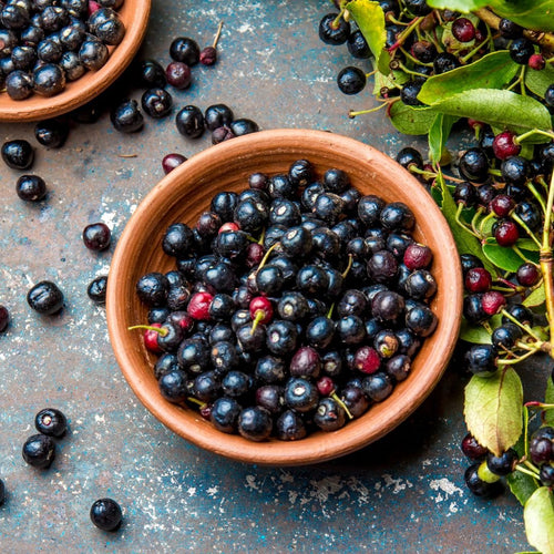 Skønhed & Sundhed i maqui bær - kraftfuld antioxidant - Naturelle.dk