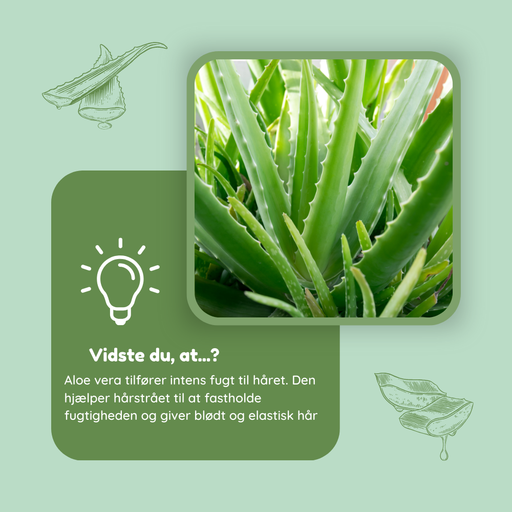 Aloeverapulver til hårmaske - øko 100g