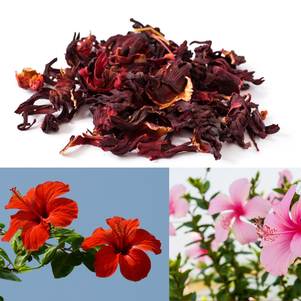 Hibiscuspulver til hårmaske og hårpleje - øko 100g - Naturelle.dk