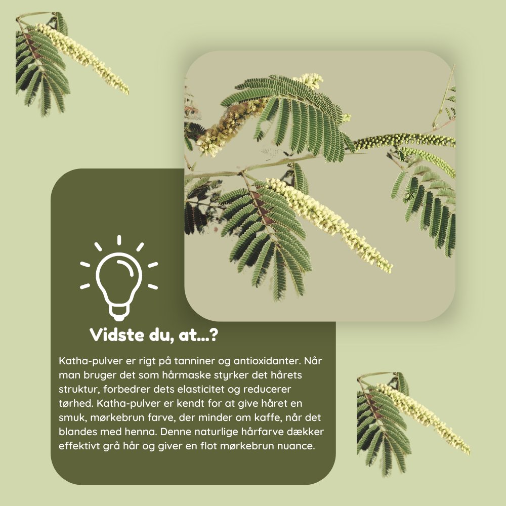 Katha - pulver til hårmaske & hårfarve øko 100g - Naturelle.dk