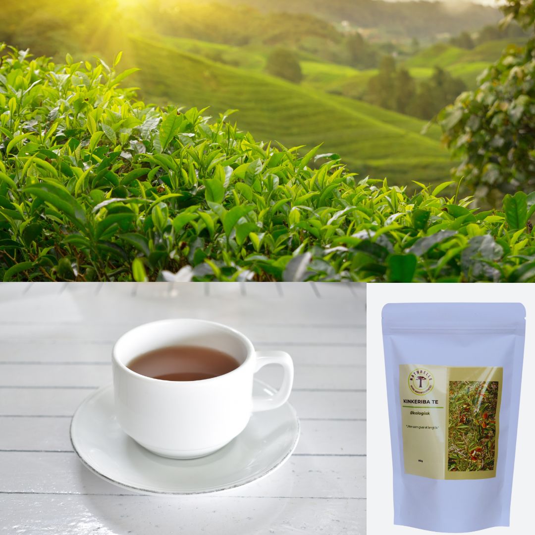 Kinkéliba te - øko 80 g - Naturelle.dk