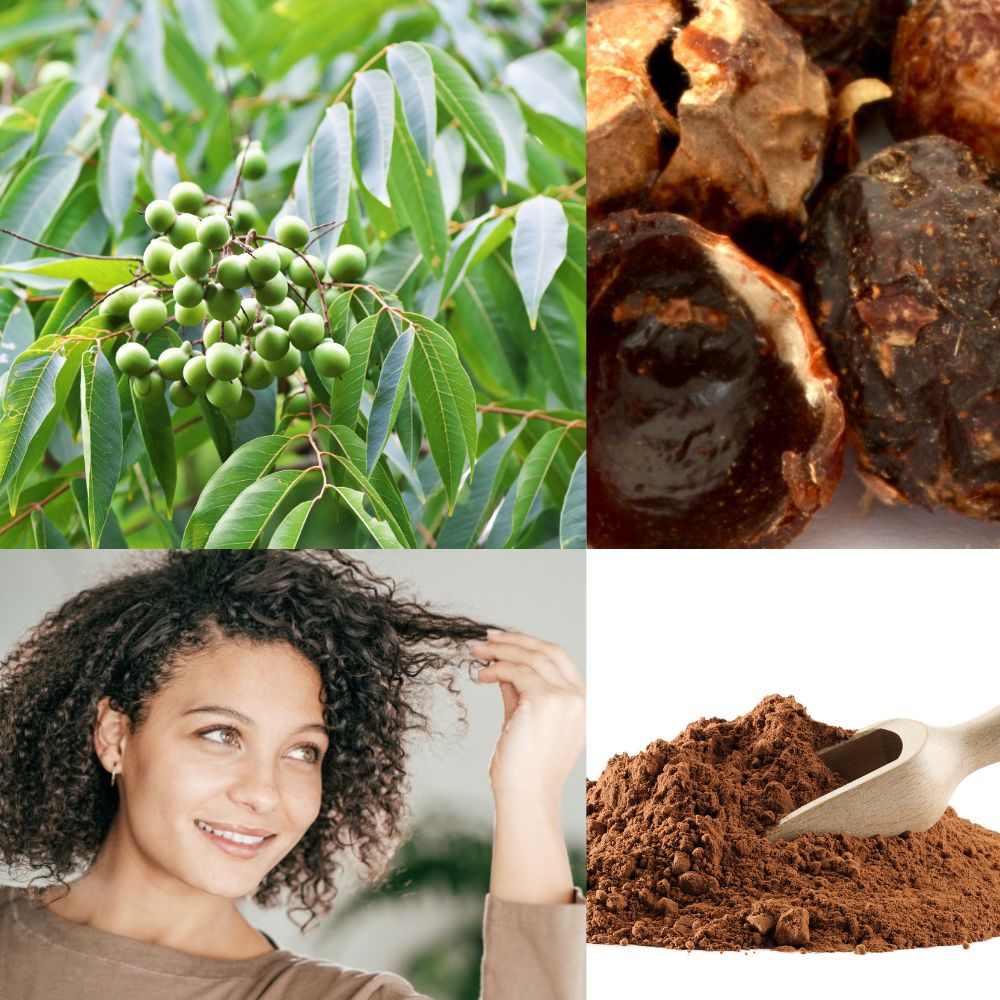 Nøddesæbe - frøpulver til hårmaske - Reetha - pulver Øko - 100g - Naturelle.dk