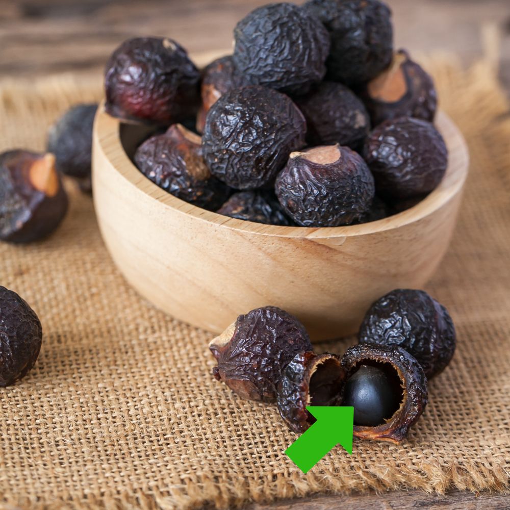 Nøddesæbe - frøpulver til hårmaske - Reetha - pulver Øko - 100g - Naturelle.dk