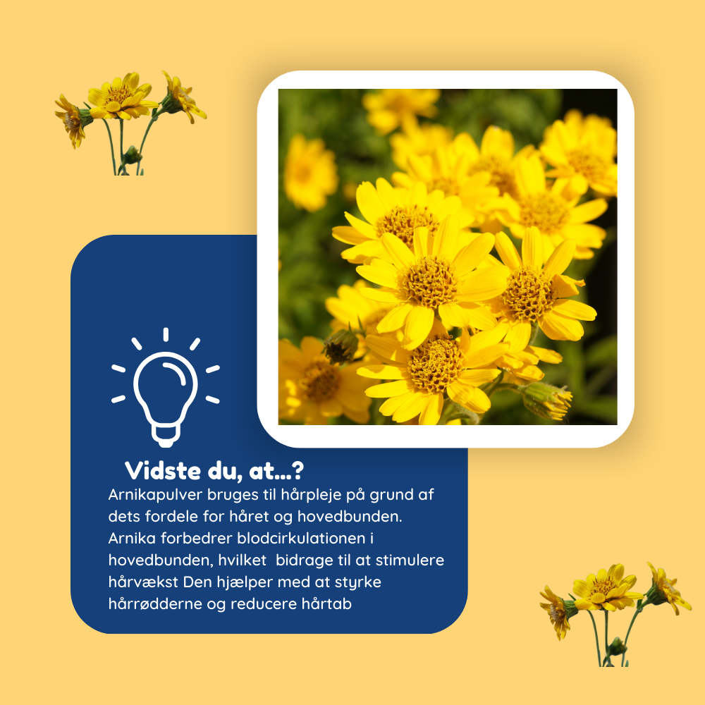 Arnikapulver Øko - naturlig hårmaske 100g