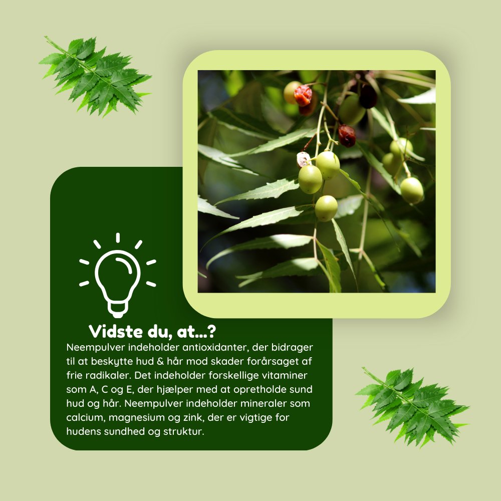 Økologisk neempulver til hår & hud - 100g - Naturelle.dk