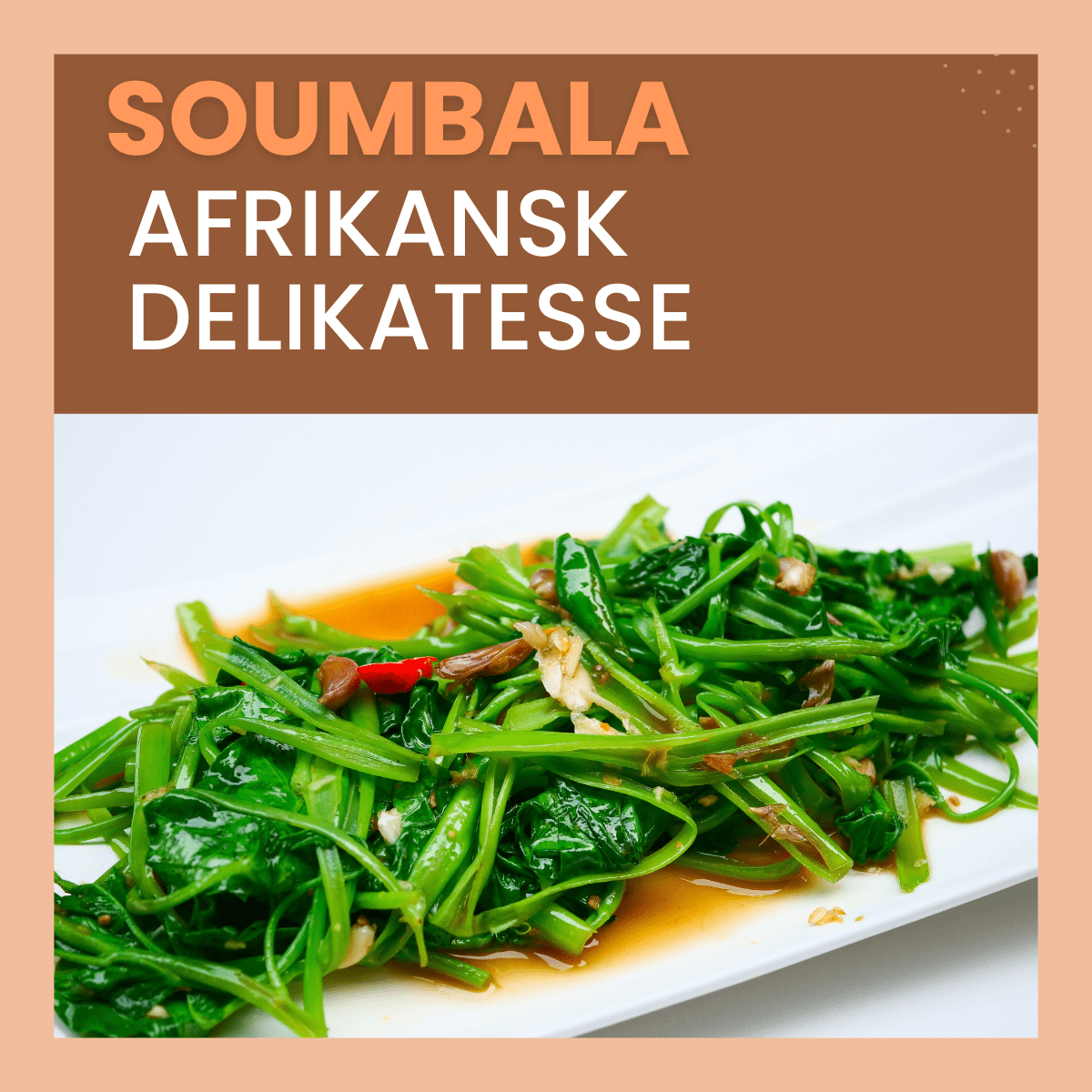 Soumbala - 3 - i - 1 pakke – Øko fermenteret afrikansk ingrediens med umamismag, 300g - Naturelle.dk
