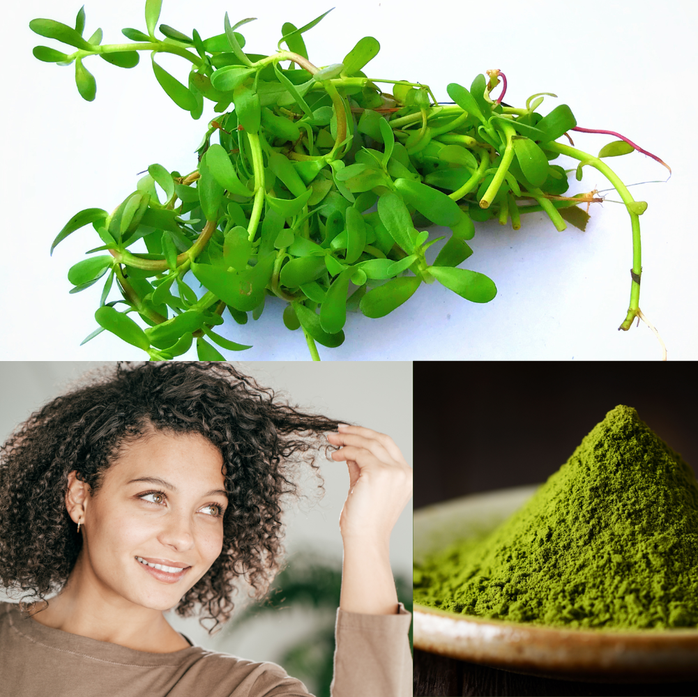 Brahmipulver forebygger grå hår og vitaminbombe til hår- øko 100g