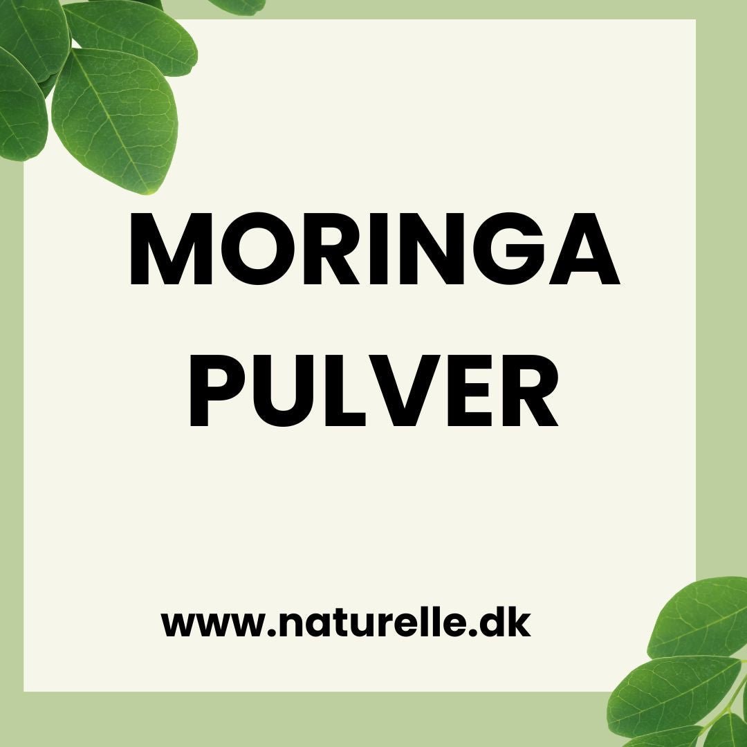Brug moringa til at passe på dit helbred og din skønhed - Naturelle.dk