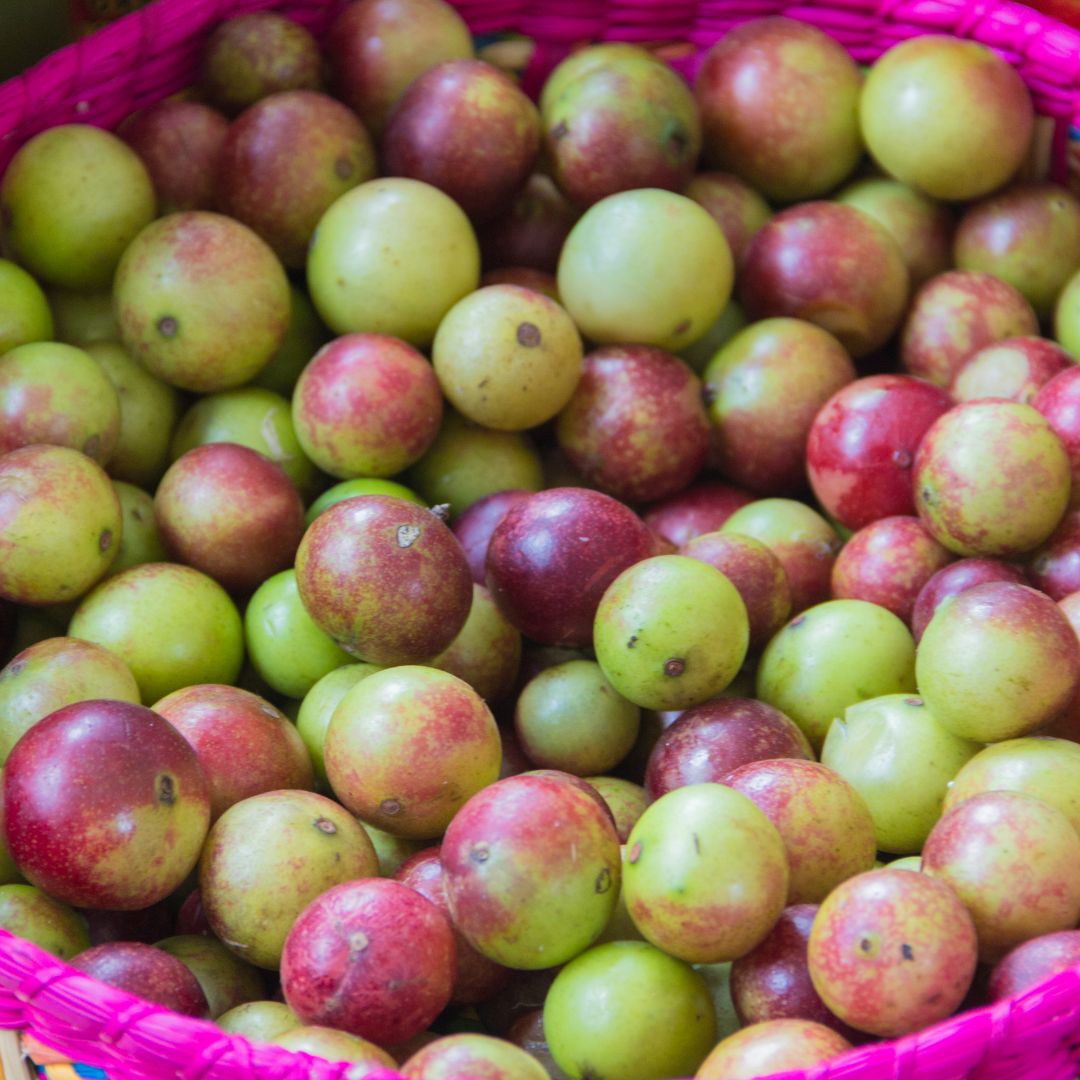 Camu camu er en vitamin C-bombe og superfood - Naturelle.dk