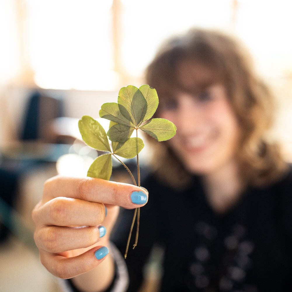 Kom godt igennem overgangsalderen med rødkløver - Naturelle.dk