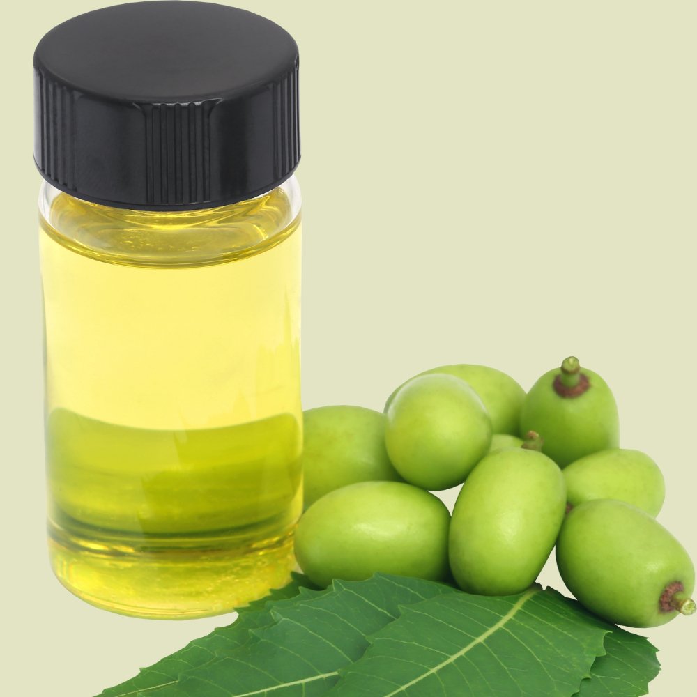 Neemolie er en allround olie til hudpleje - Naturelle.dk