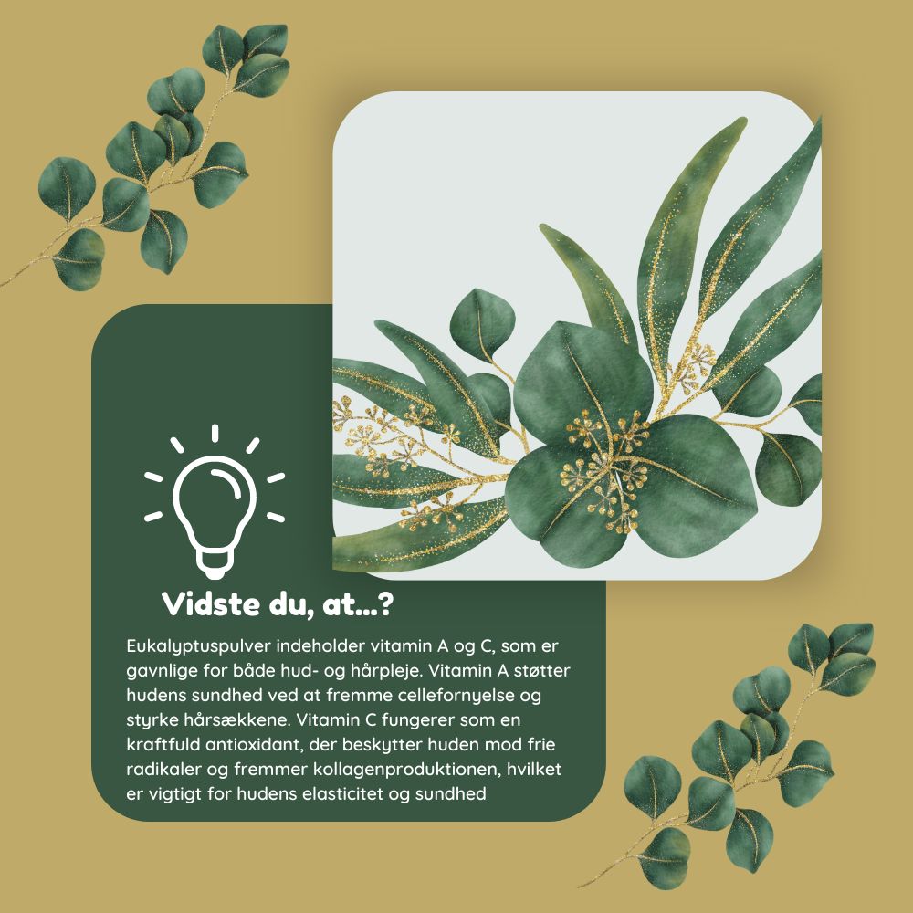 Eukalyptuspulver til hår-og ansigtsmaske Øko 60g