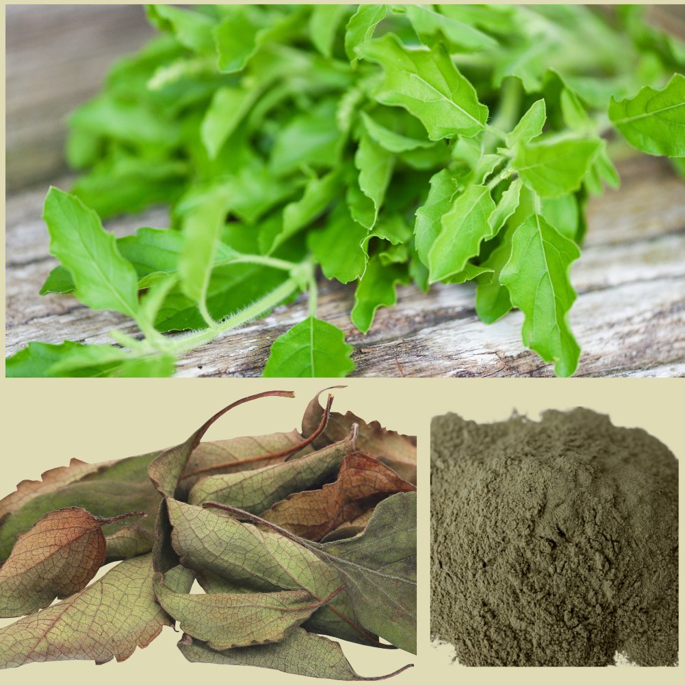 Hellig basilikumpulver til hårmaske mod grå hår - øko 100g - Naturelle.dk