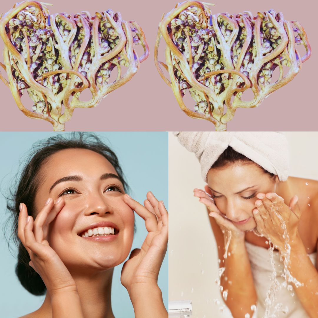 Jerikos rosepulver til ansigtspleje - boost antioxidant ansigtsmaske øko 30g - Naturelle.dk