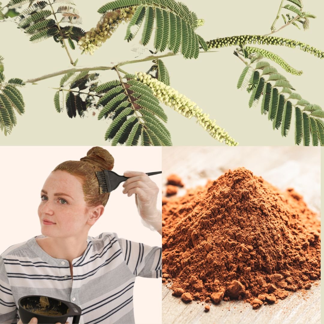 Katha - pulver til hårmaske & hårfarve øko 100g - Naturelle.dk