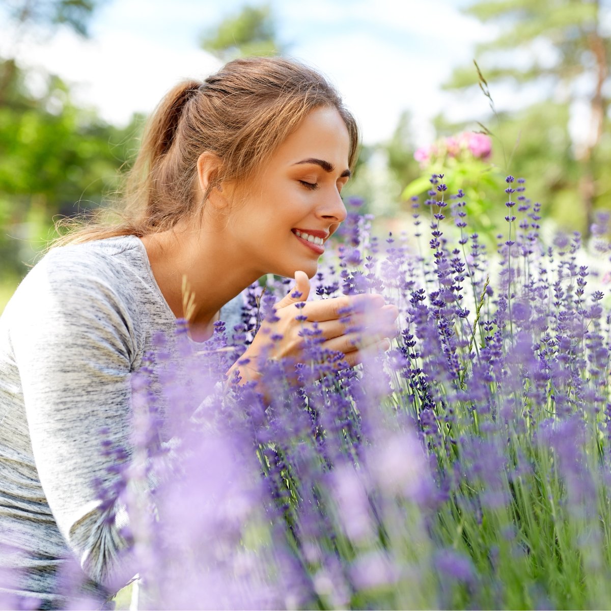 Lavendel blomstervand til krop, ansigt og hår 100ml - Naturelle.dk
