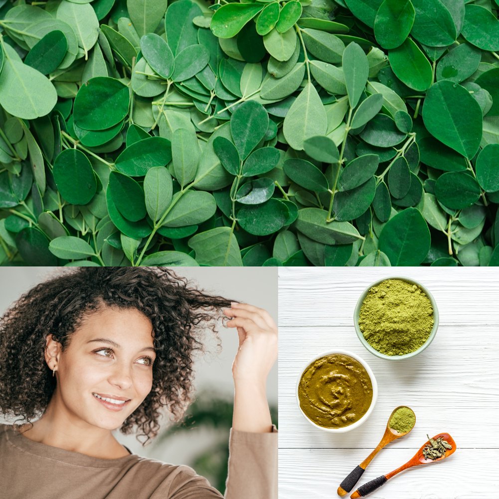 Moringapulver til hårmaske Øko - 100g - Naturelle.dk