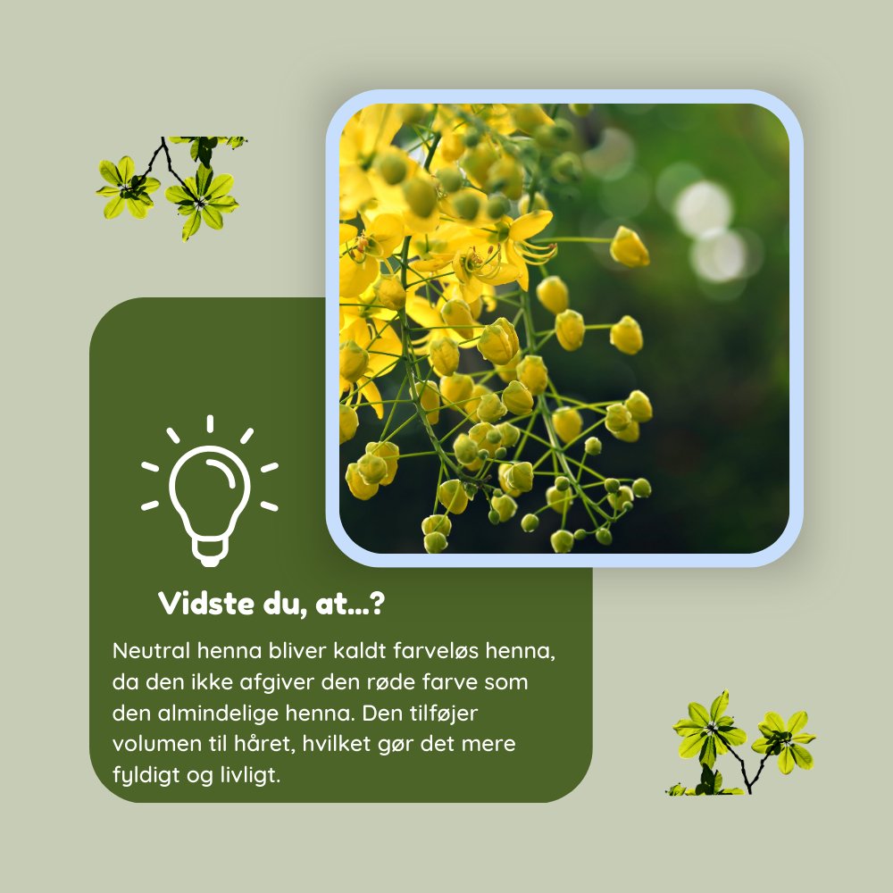 Neutral henna til hårmaske - øko 100g - Naturelle.dk