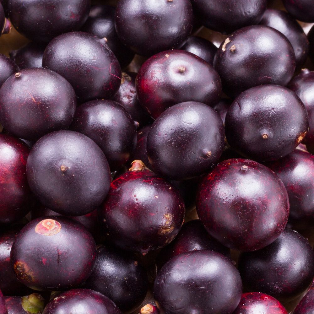 Økologisk Acaiolie – 100% Koldpresset, 50 ml - Naturelle.dk