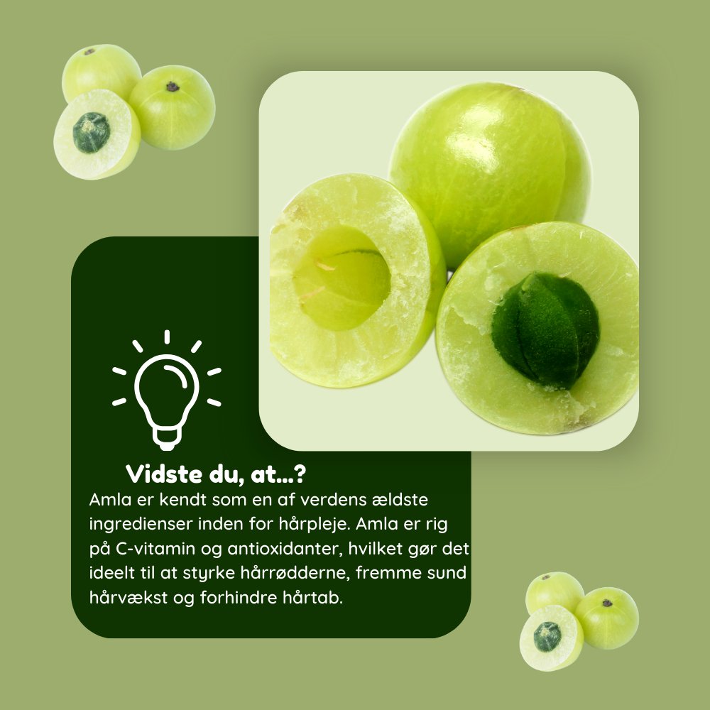 Økologisk amlapulver til en naturlig hårmaske - Naturelle.dk