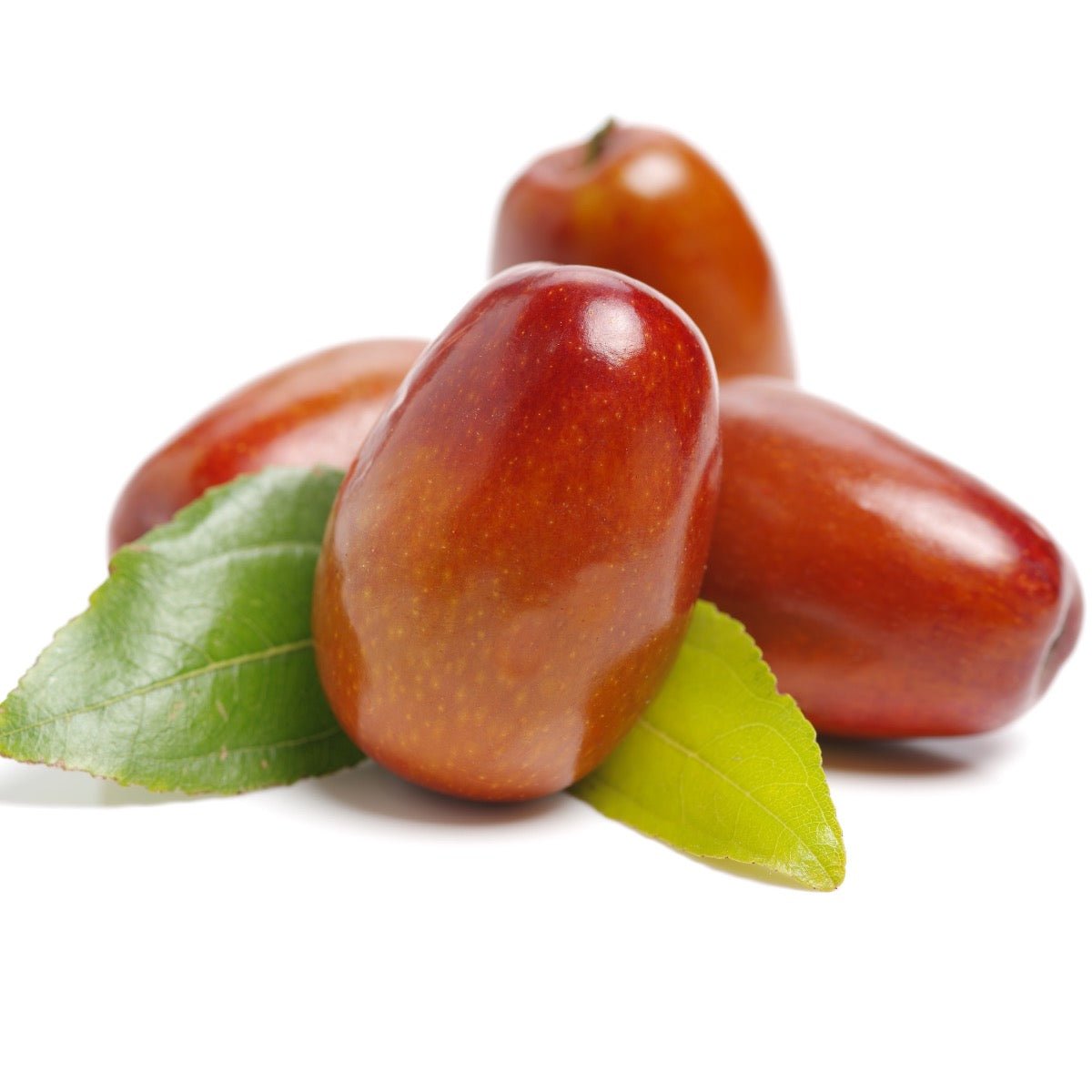 Økologisk jojobaolie 50ml - Naturelle.dk