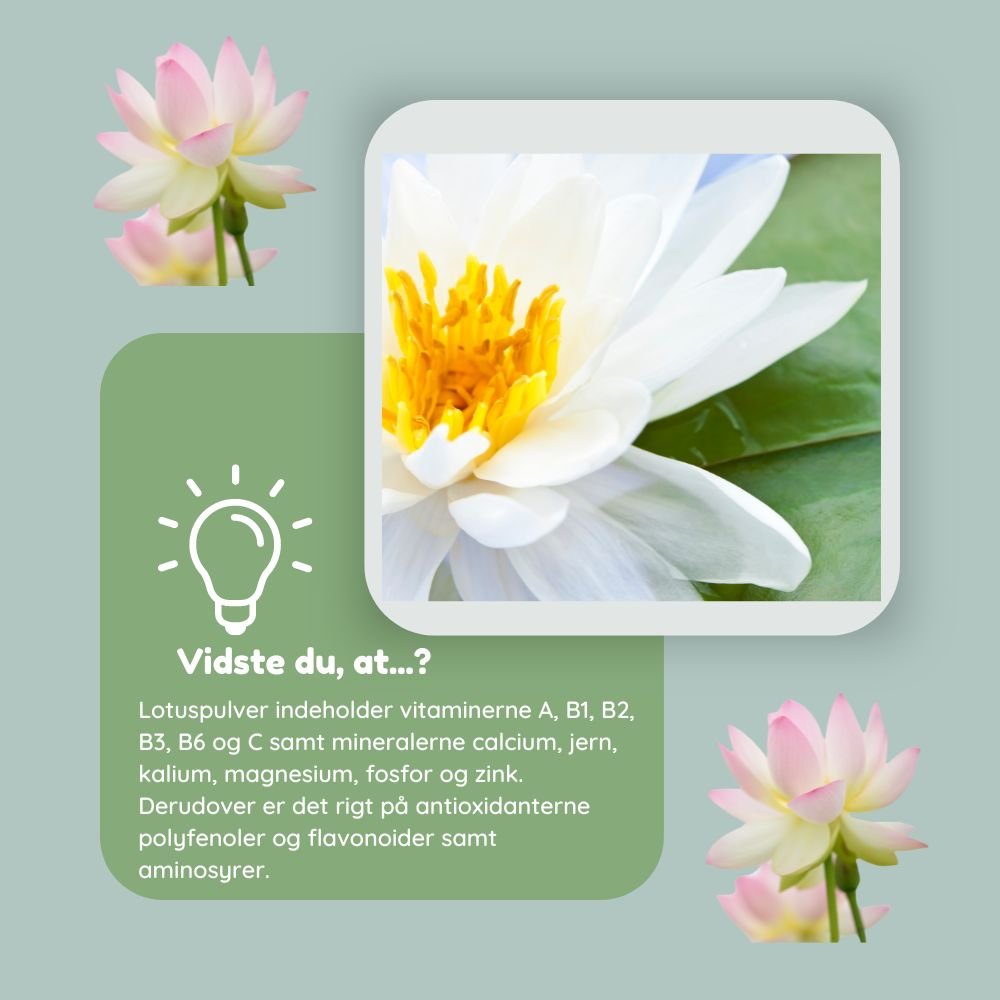 Økologisk lotuspulver / Nelumbopulver til hår & hud - 100g - Naturelle.dk