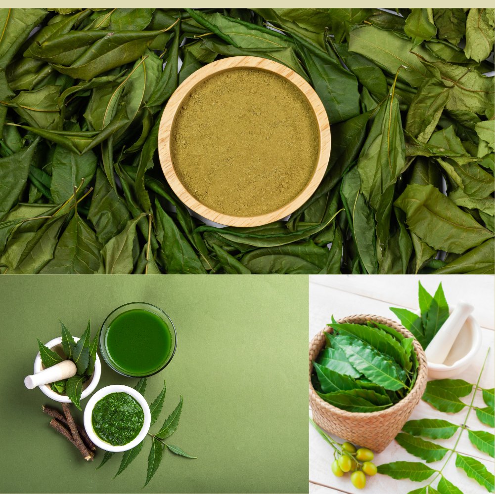 Økologisk neempulver til hår & hud - 100g - Naturelle.dk