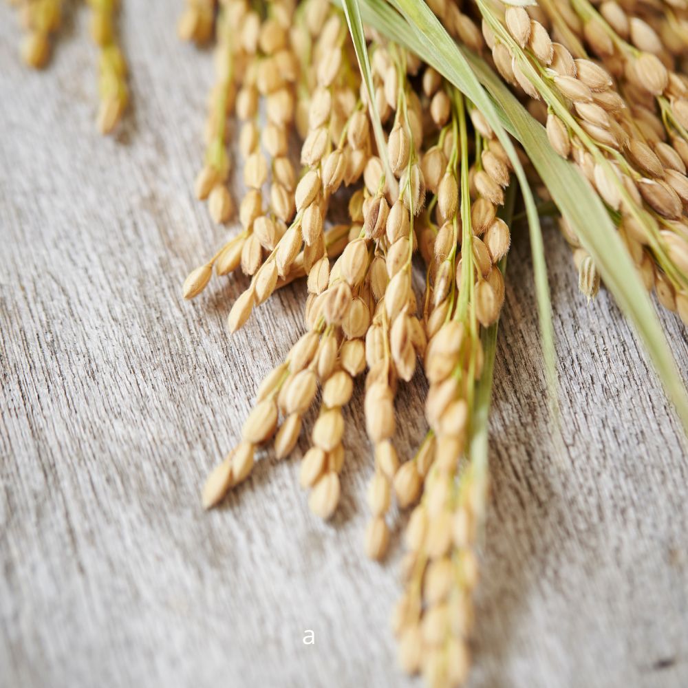 Riskildolie til ansigtpleje – Øko, 50 ml - Naturelle.dk