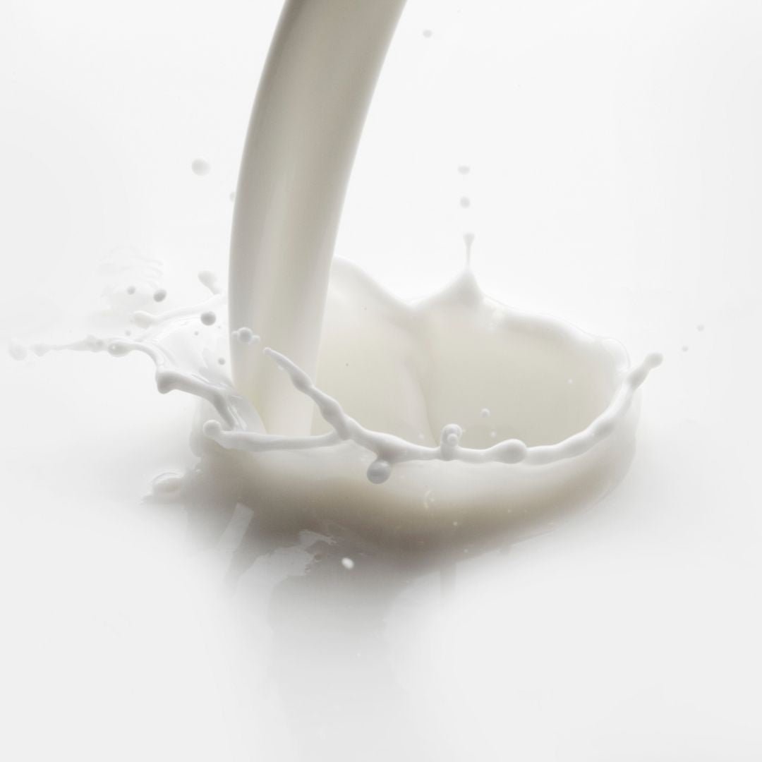 Rissæbe shampoo med rismælksprotein – 65 g - Naturelle.dk