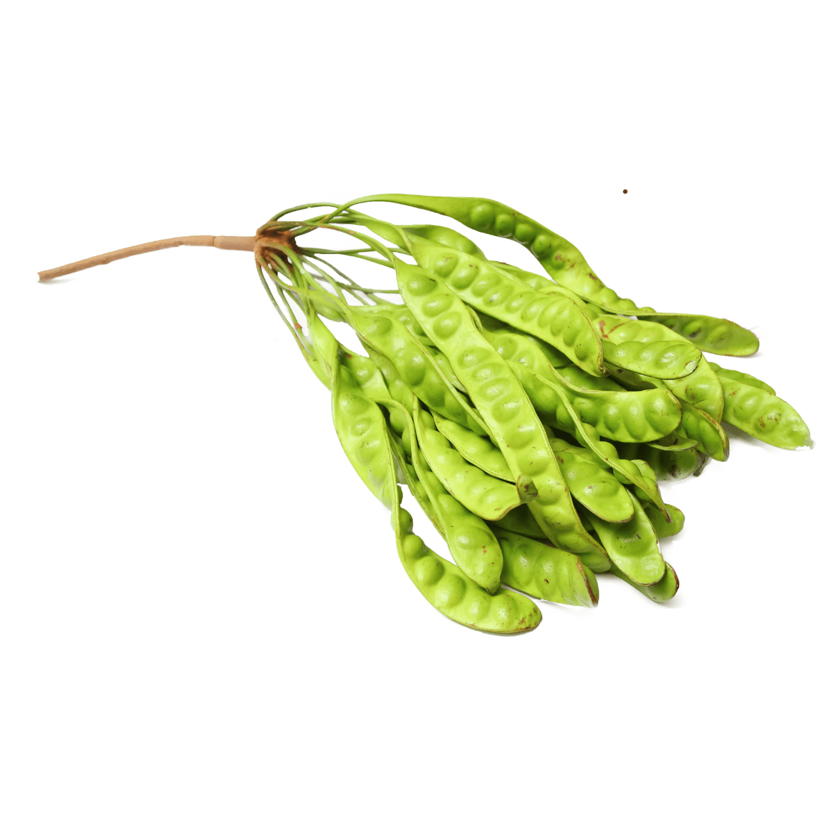 Soumbala - 3 - i - 1 pakke – Øko fermenteret afrikansk ingrediens med umamismag, 300g - Naturelle.dk