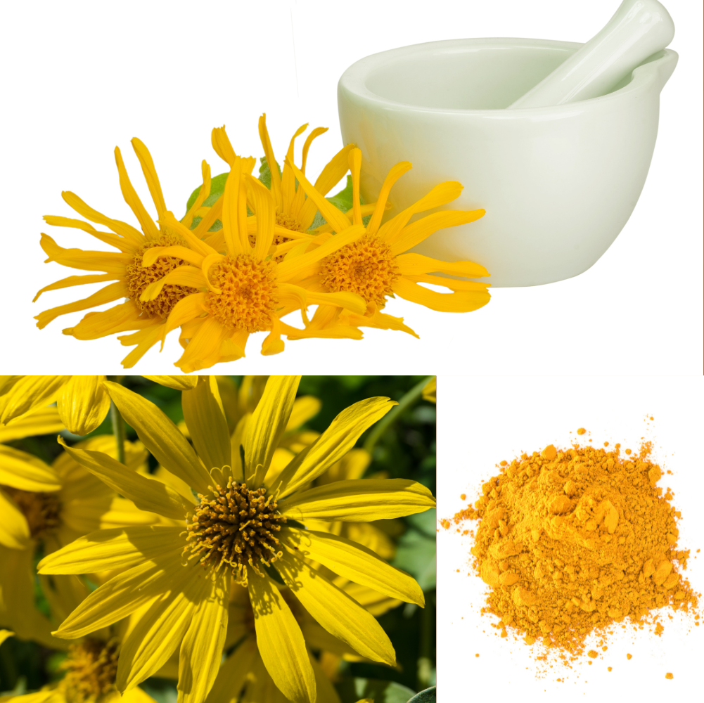 Arnikapulver Øko - naturlig hårmaske 100g