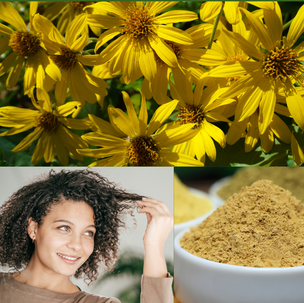 Arnikapulver Øko - naturlig hårmaske 100g